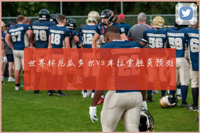世界杯厄瓜多尔vs库拉索胜负预测