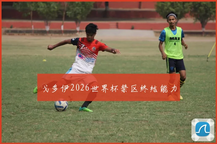 戈多伊2026世界杯禁区终结能力