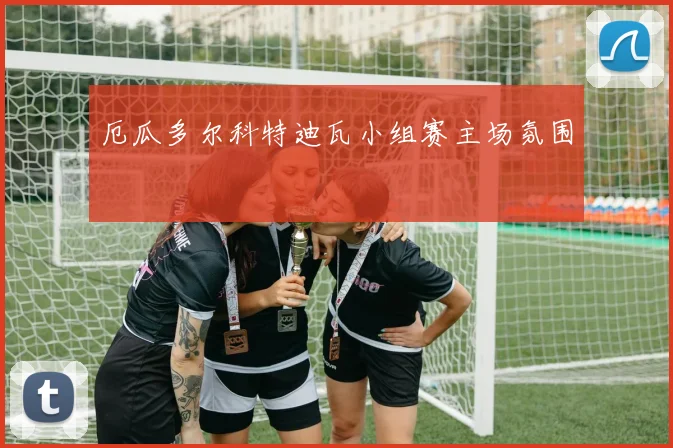 厄瓜多尔科特迪瓦小组赛主场氛围