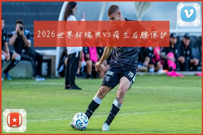 2026世界杯瑞典vs荷兰后腰保护